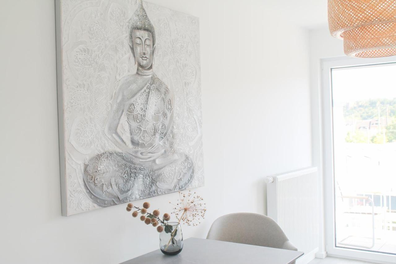 Buddha Apartment - Stadtnah, Balkon, Parkplatz, E-Ladestation Fuer Autos & Fahrraeder, Fitnessstudio Koblenz  Buitenkant foto